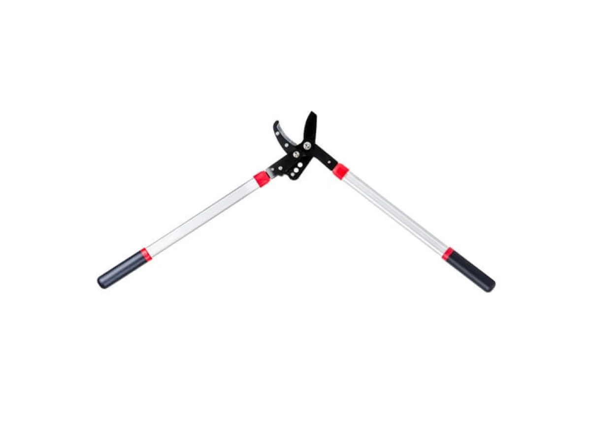 Сучкоріз садовий для обрізання гілок 730 мм INTERTOOL FT-1112 