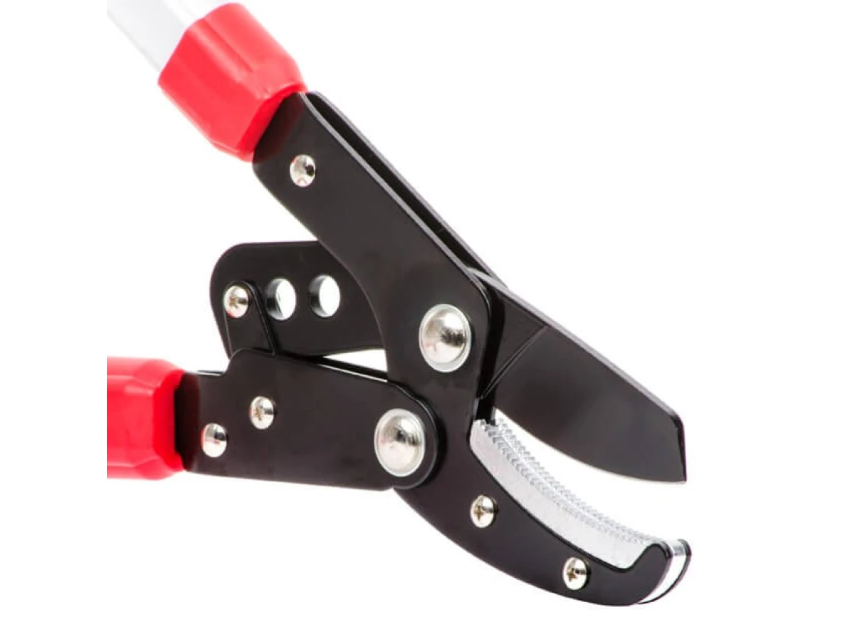 Сучкоріз садовий для обрізання гілок 730 мм INTERTOOL FT-1112 