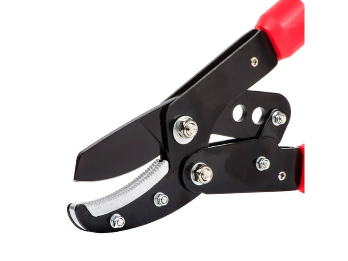 Сучкоріз садовий для обрізання гілок 730 мм INTERTOOL FT-1112 