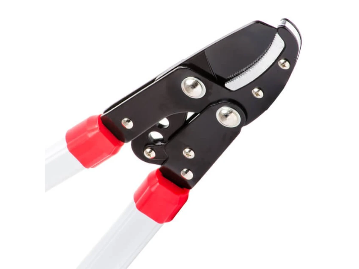 Сучкоріз садовий для обрізання гілок 730 мм INTERTOOL FT-1112 