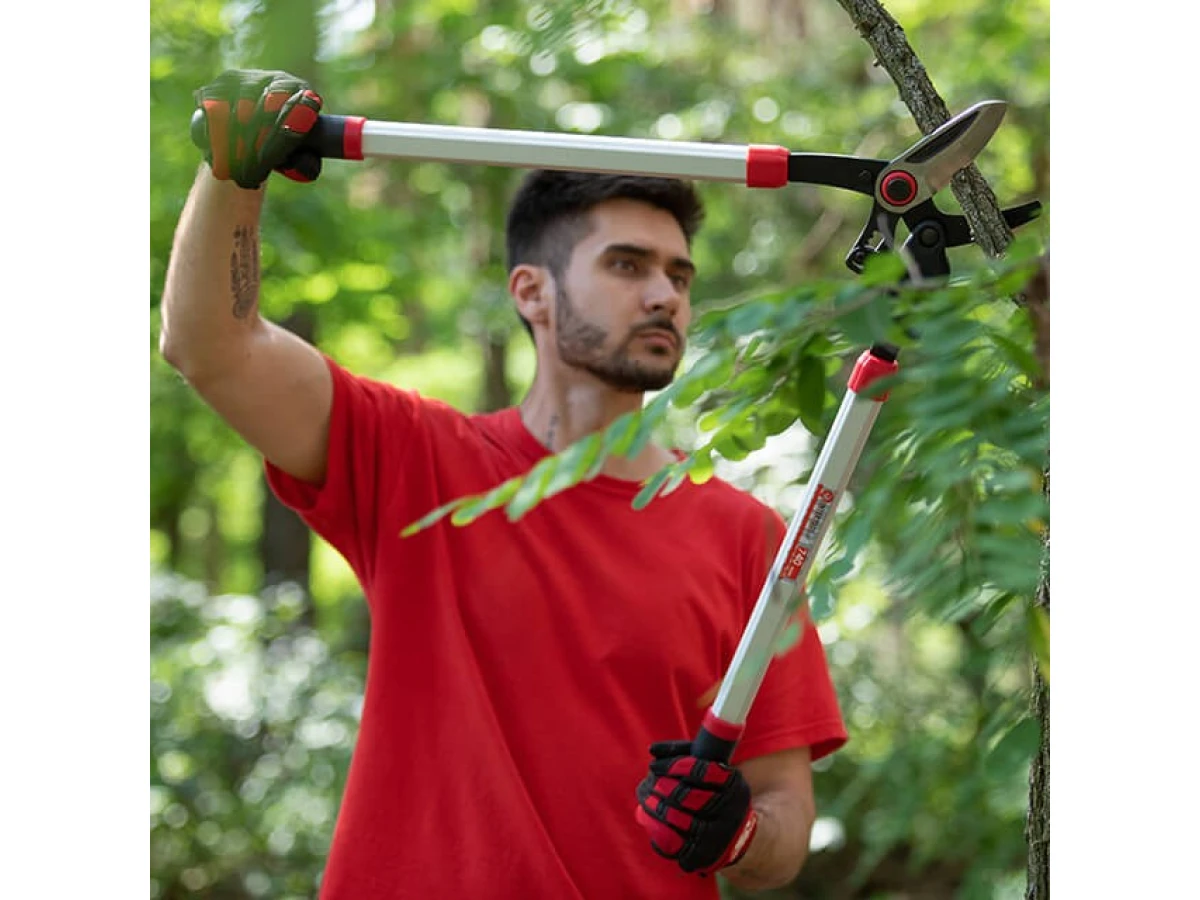 Сучкоріз садовий для обрізання гілок 730 мм INTERTOOL FT-1112 