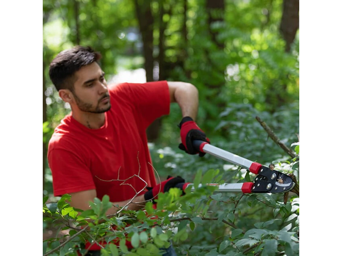 Сучкоріз садовий для обрізання гілок 730 мм INTERTOOL FT-1112 