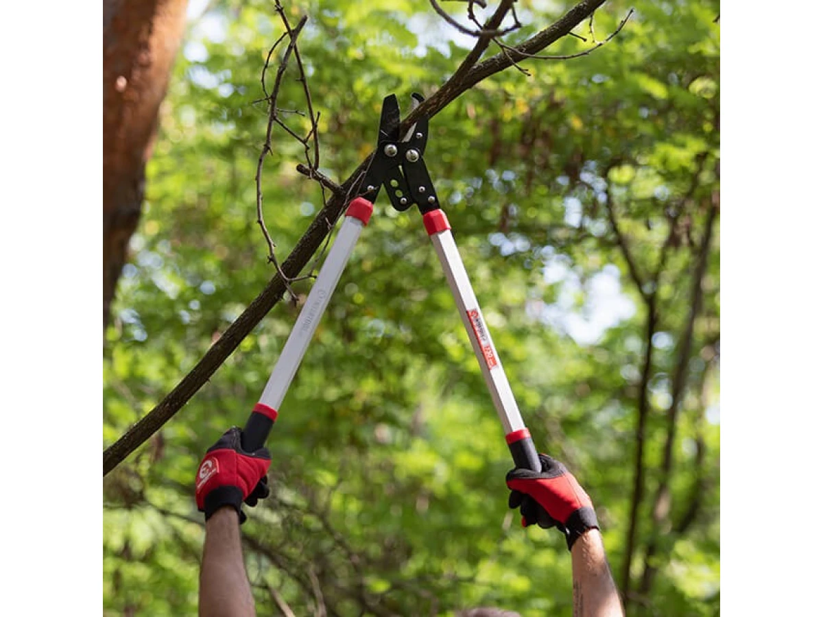 Сучкоріз садовий для обрізання гілок 730 мм INTERTOOL FT-1112 
