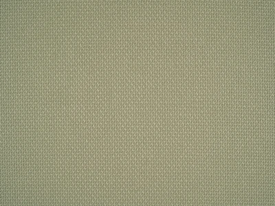 Braid (Брэйд) 3017 Светло-зеленый