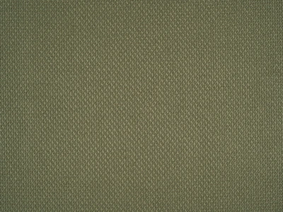 Braid (Брэйд) 3018 Травяной