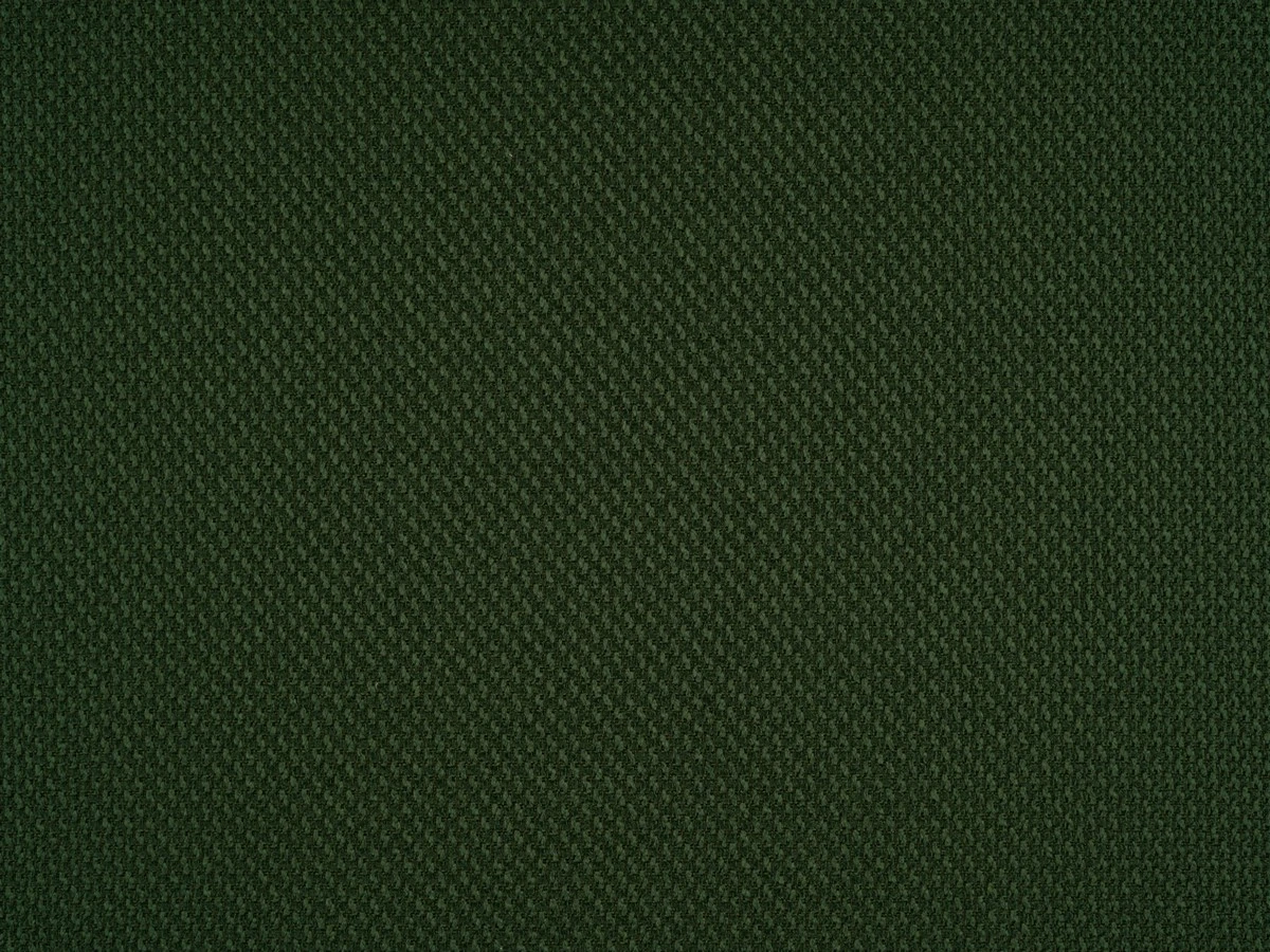 Braid (Брэйд) 3019 Зеленый 