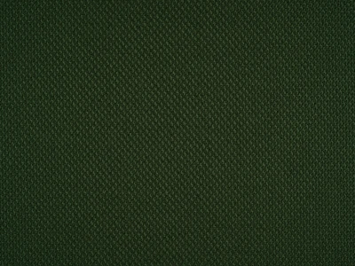 Braid (Брэйд) 3019 Зеленый