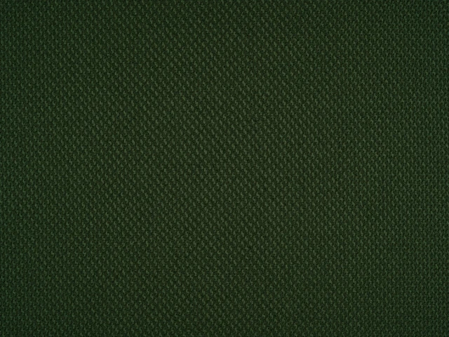 Braid (Брэйд) 3019 Зеленый 