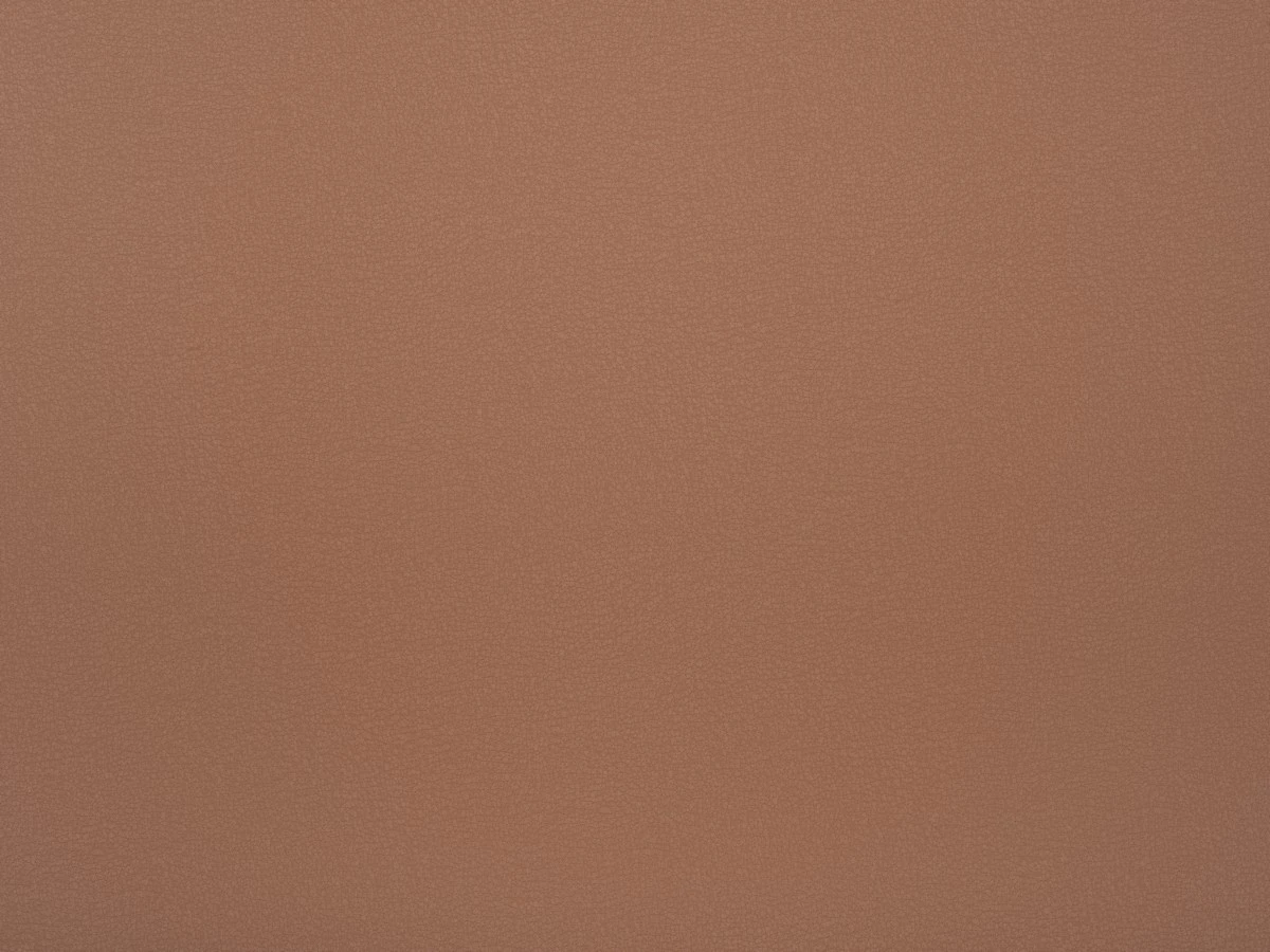 Logan (Логан) 50 Персиковий 