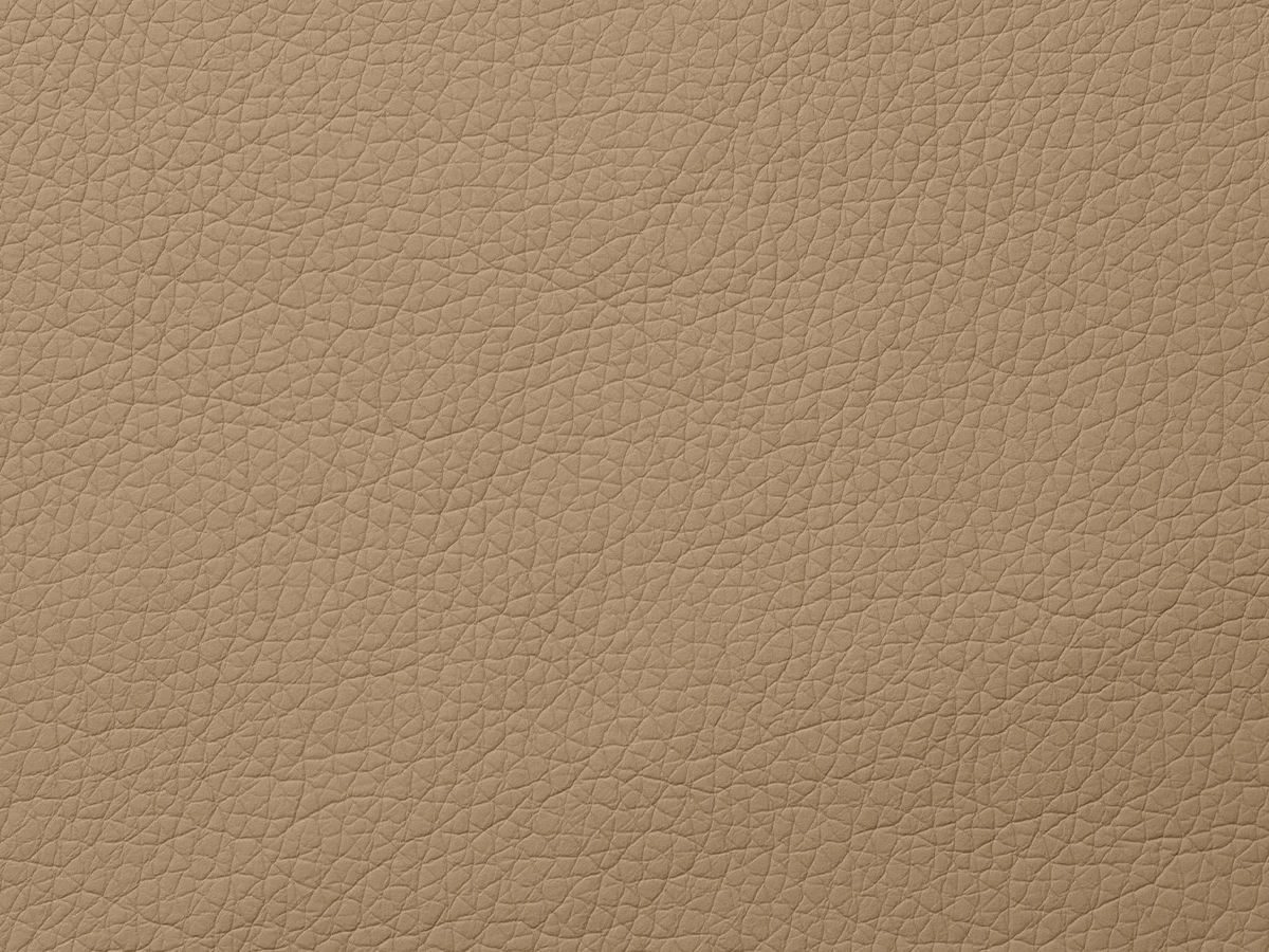 Fly (Флай) 2238 Бежевий 