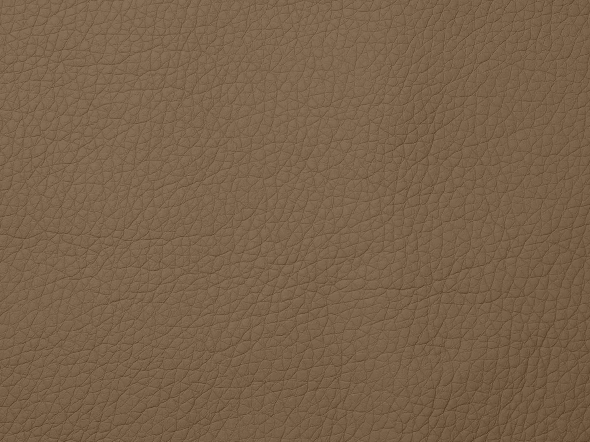 Fly (Флай) 2239 Темно-бежевий 