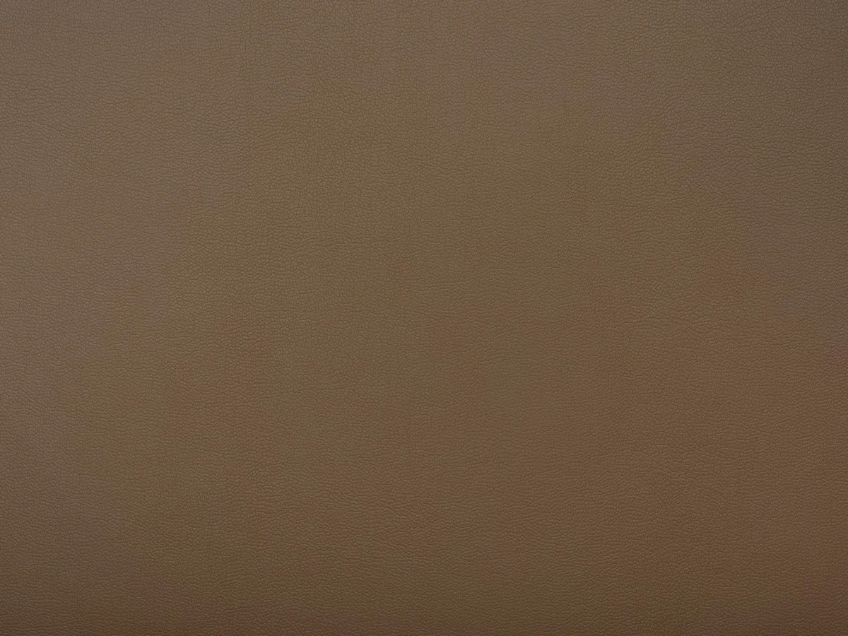 Rocky (Роккі) 12 Світло-коричневий 