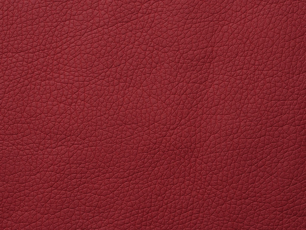 Fly (Флай) 2210 Червоний 