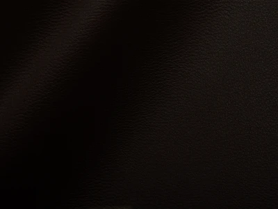 Artemis (Артеміс) PE 9011 Чорний