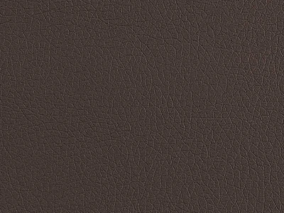 Zeus Deluxe (Зевс Делюкс) Brown