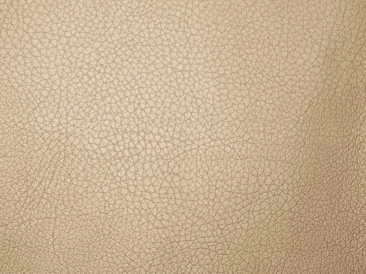 Sofitel (Софітель) 21 Camel 