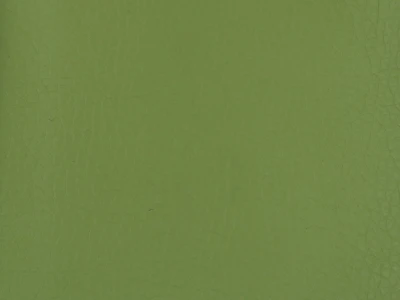 Boston (Бостон) 11 Оливковый