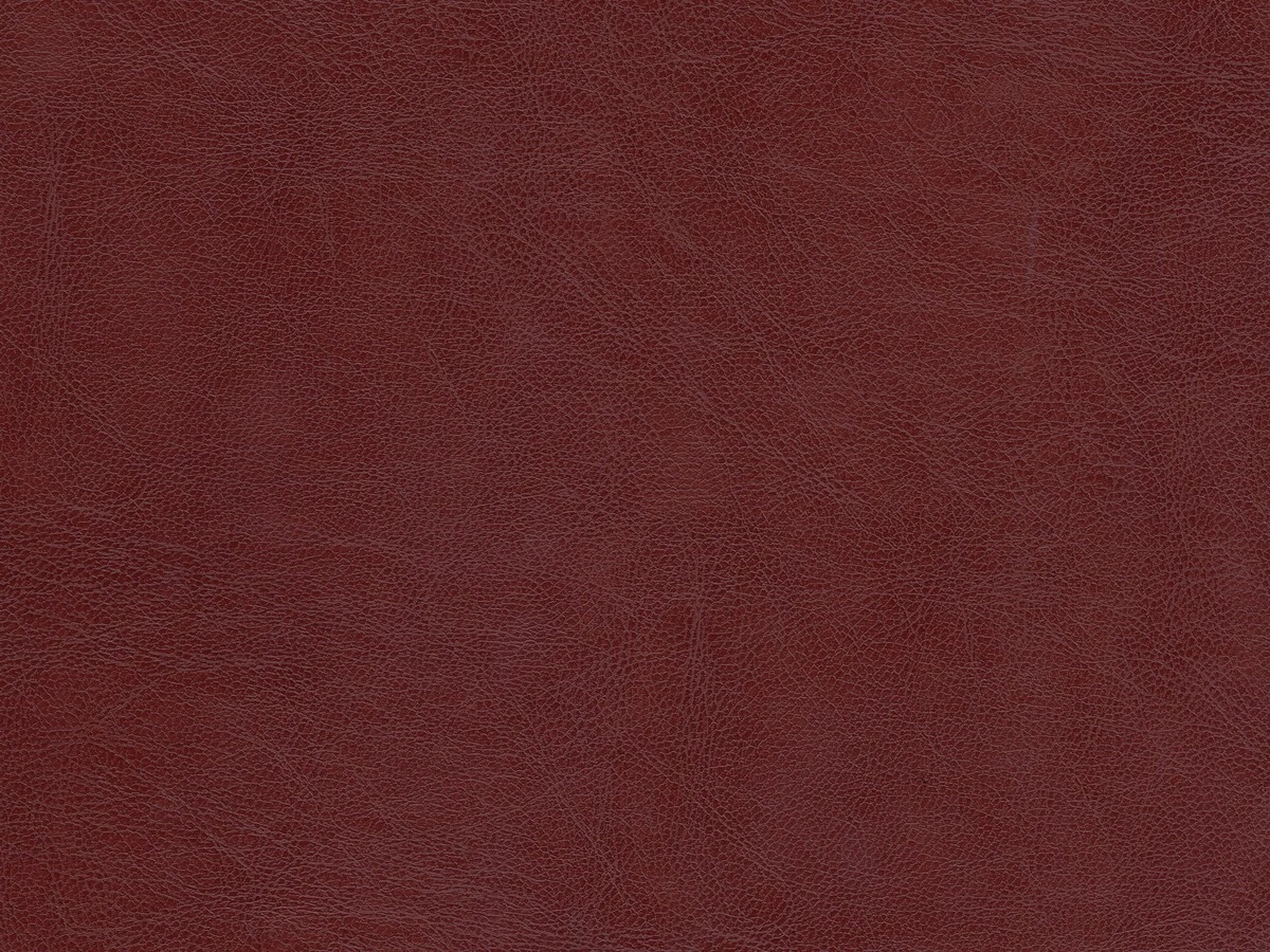 Kolizey (Колізей) 7 