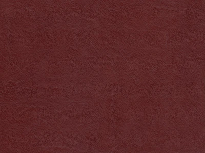 Kolizey (Колізей) 7