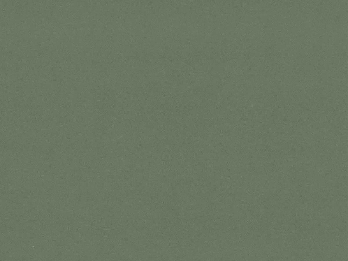 Vega (Вега) 37 DB Зелений 