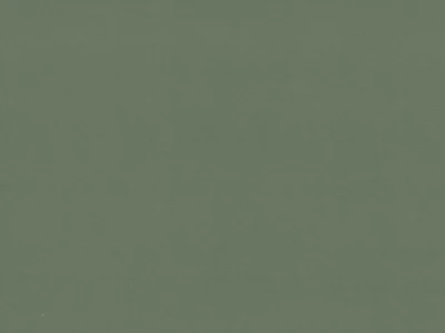 Vega (Вега) 37 DB Зелений