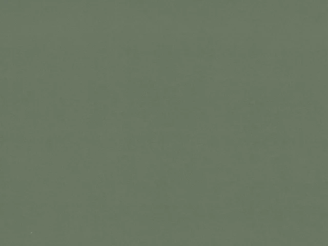 Vega (Вега) 37 DB Зелений 