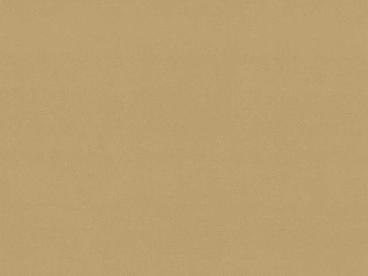 Vega (Вега) 48 DB Гірчичний 