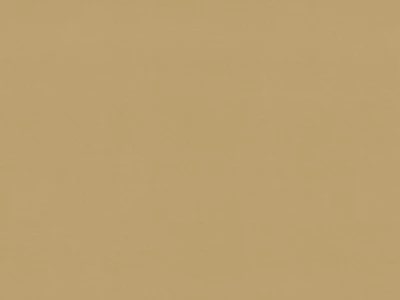 Vega (Вега) 48 DB Гірчичний