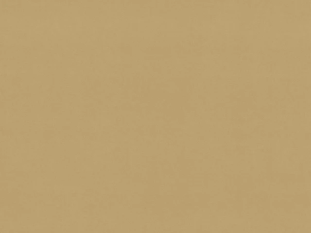 Vega (Вега) 48 DB Гірчичний 