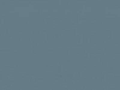 Vega (Вега) 70 DB Сизий