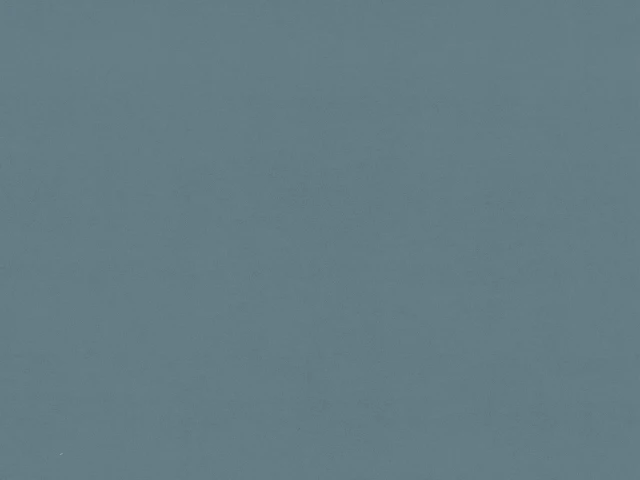 Vega (Вега) 70 DB Сизий 