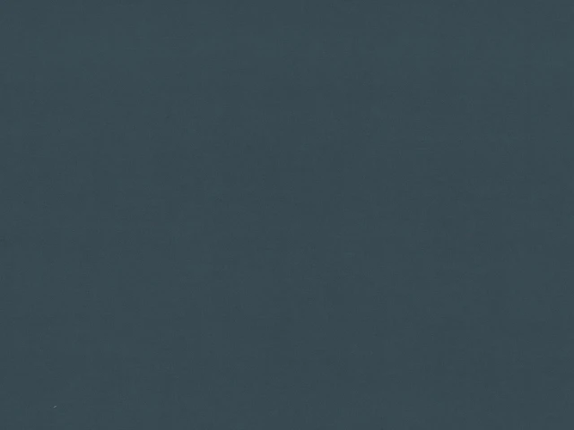 Vega (Вега) 79 DB Графіт 