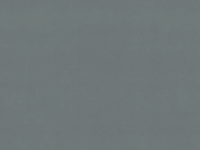 Vega (Вега) 88 DB Мишачо-сірий 