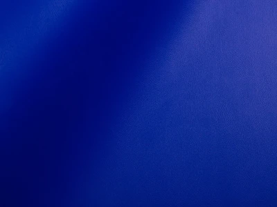 Skaden (Скаден) 5061 Синьо-фіолетовий