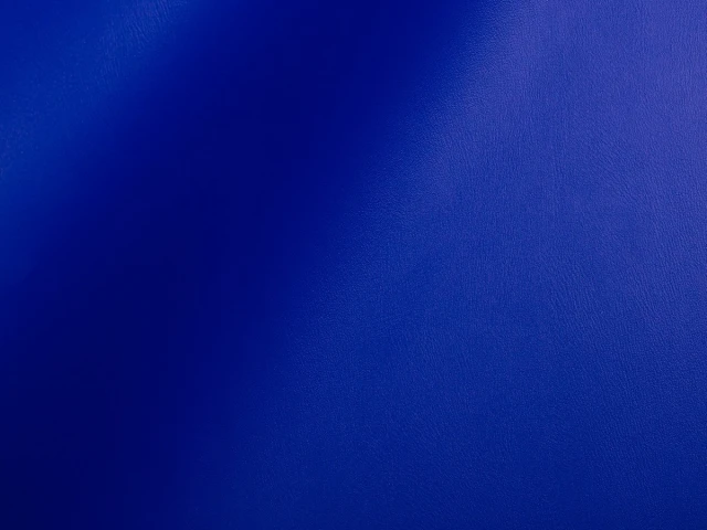 Skaden (Скаден) 5061 Синьо-фіолетовий 