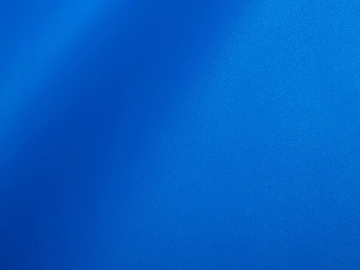 Skaden (Скаден) 5141 Яскраво-синій 