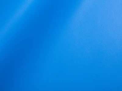 Skaden (Скаден) 5154 Волошковий