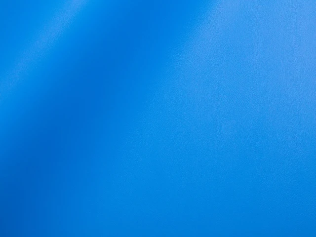 Skaden (Скаден) 5154 Волошковий 