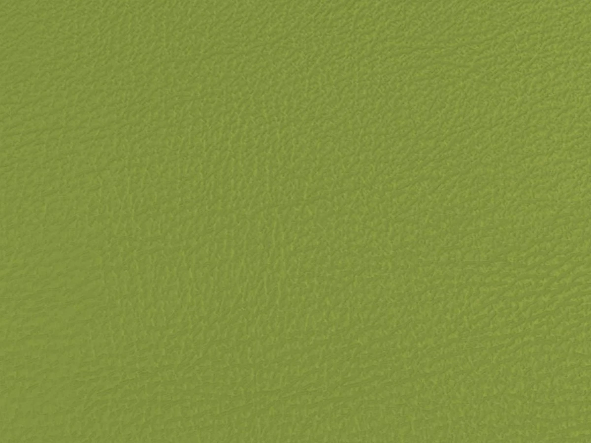 Stanford (Стенфорд) Green 