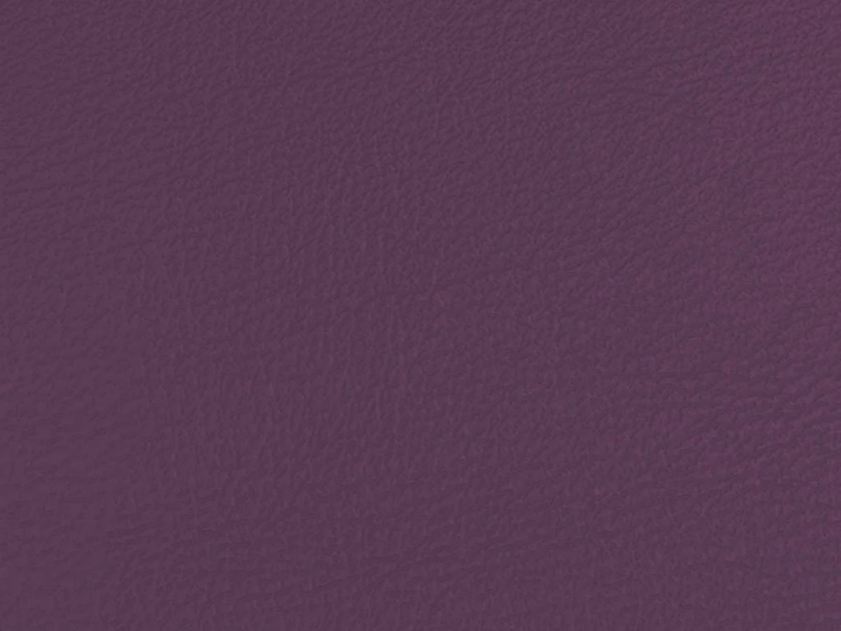 Stanford (Стенфорд) Purple 