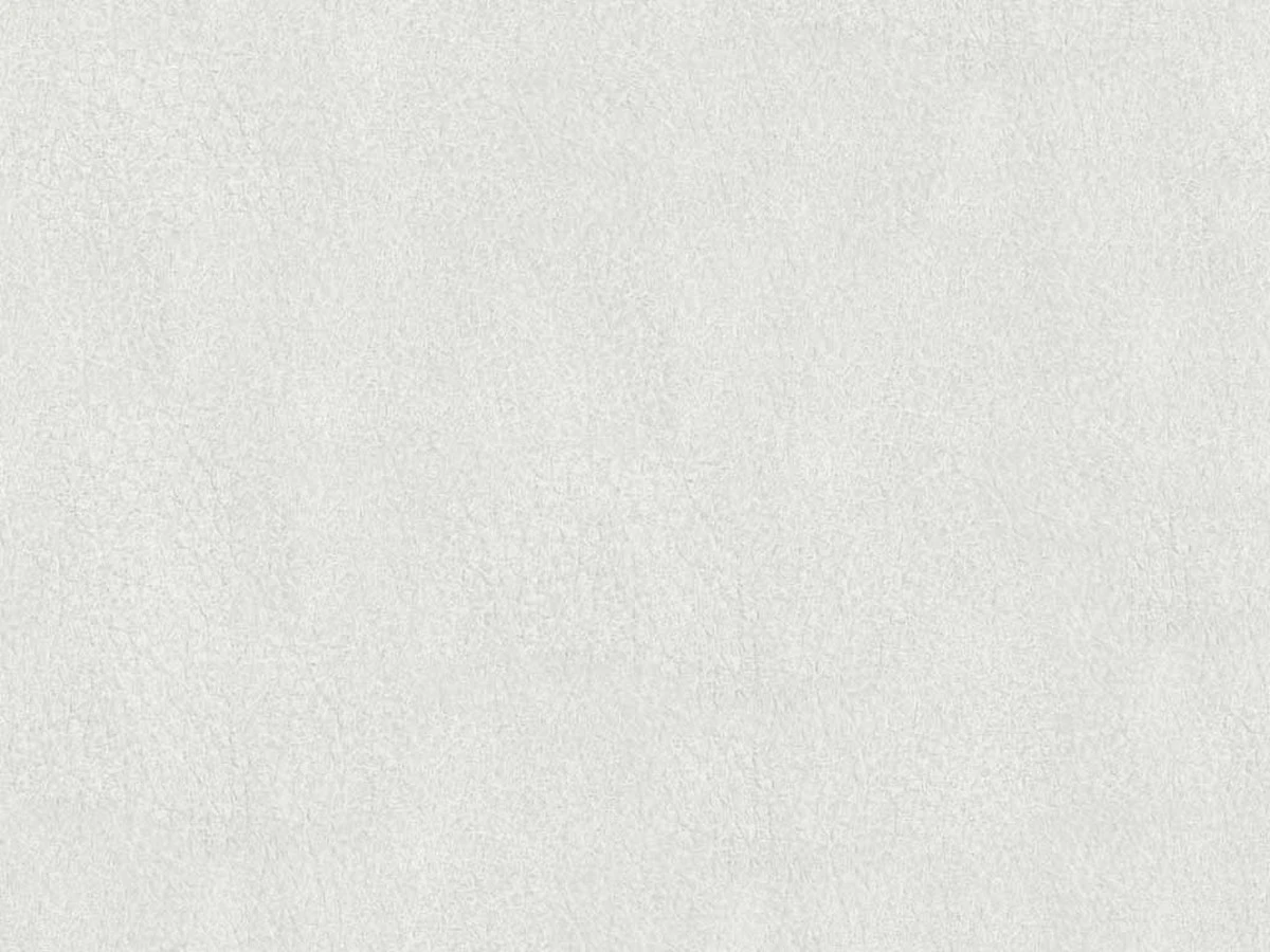 Richmond (Ричмонд) Bone 