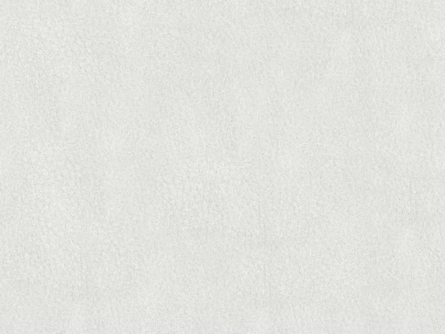 Richmond (Ричмонд) Bone 