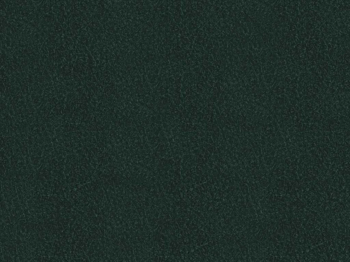 Richmond (Ричмонд) Bottle Green 