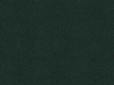 Richmond (Ричмонд) Bottle Green