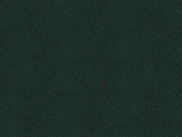 Richmond (Ричмонд) Bottle Green 