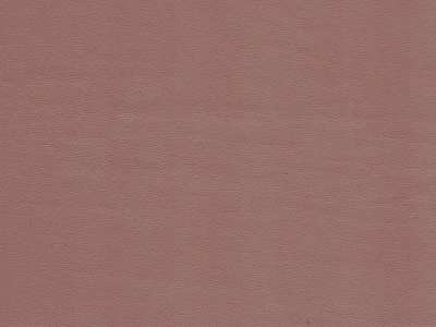 Зум 9 Темно-бежевый