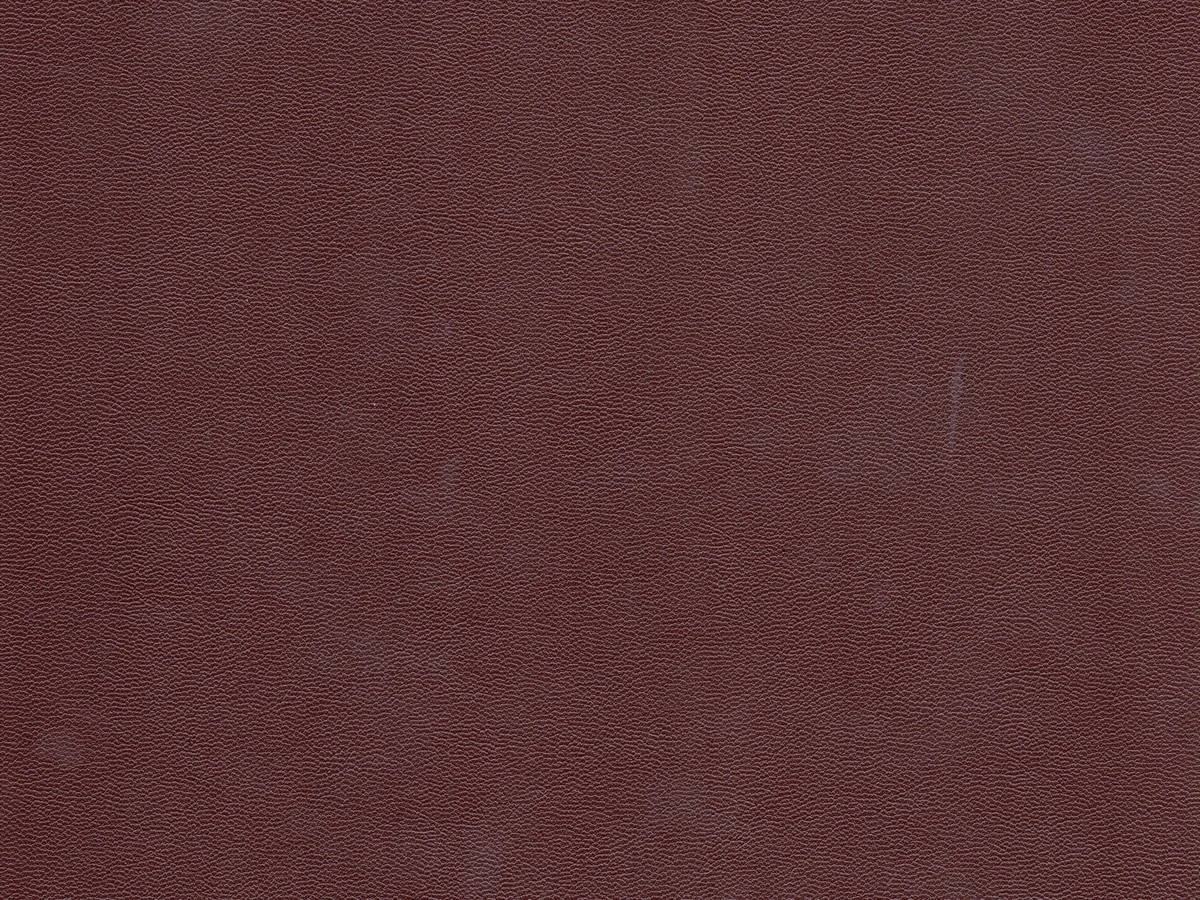 Зум 12 Светло-коричневый 