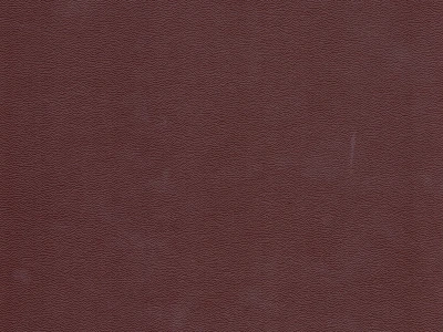 Зум 12 Светло-коричневый