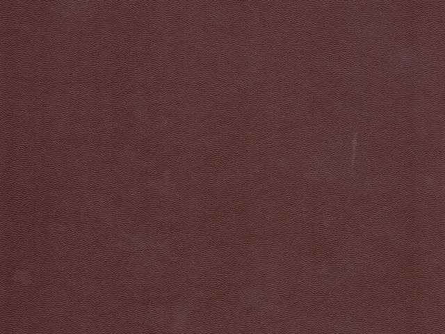 Зум 12 Светло-коричневый 