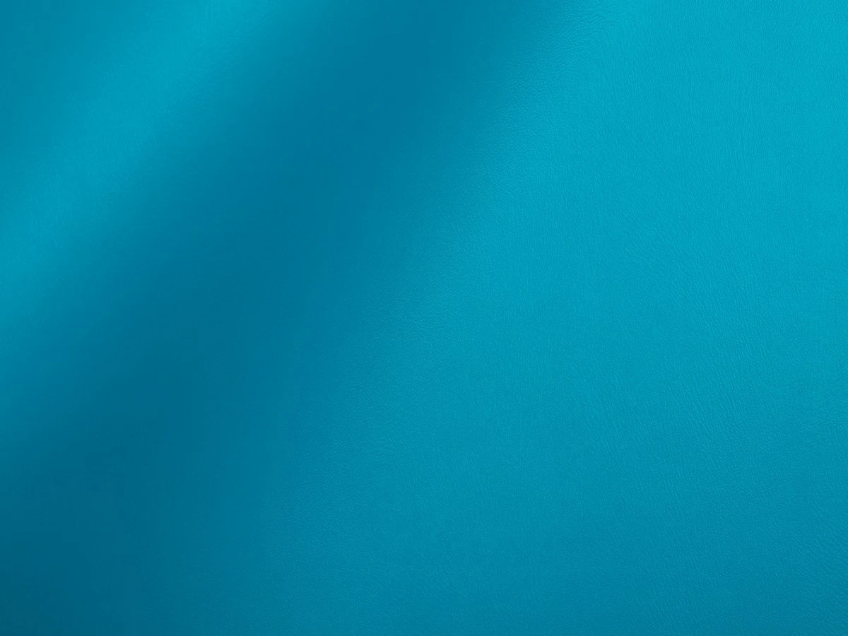 Skaden (Скаден) 6099 Лазурний 